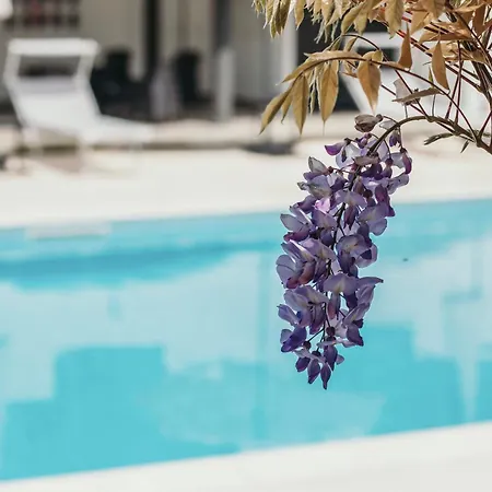 Apartman Aquavista - Lakeview With Pool Dormelletto