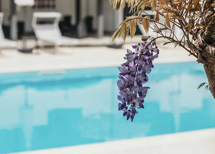 Apartment Aquavista - Lakeview With Pool Dormelletto